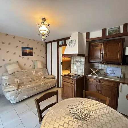 Rez-de-jardin Avec Acces Direct A La Plage, Terrasse Ensoleillee, Ideal Pour 3 Personnes - Fr-1-465-115