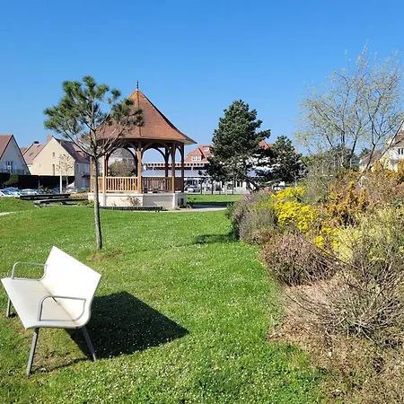 Rez-de-jardin Avec Acces Direct A La Plage, Terrasse Ensoleillee, Ideal Pour 3 Personnes - Fr-1-465-115 *